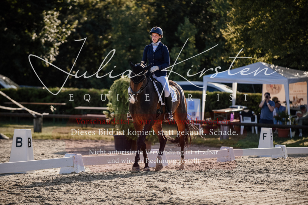 DSC_0639 | Pferde- und Turnierfotografie in Westsachsen. Pferdeportraits, Auftragszeichnungen und intuitive Kunst.