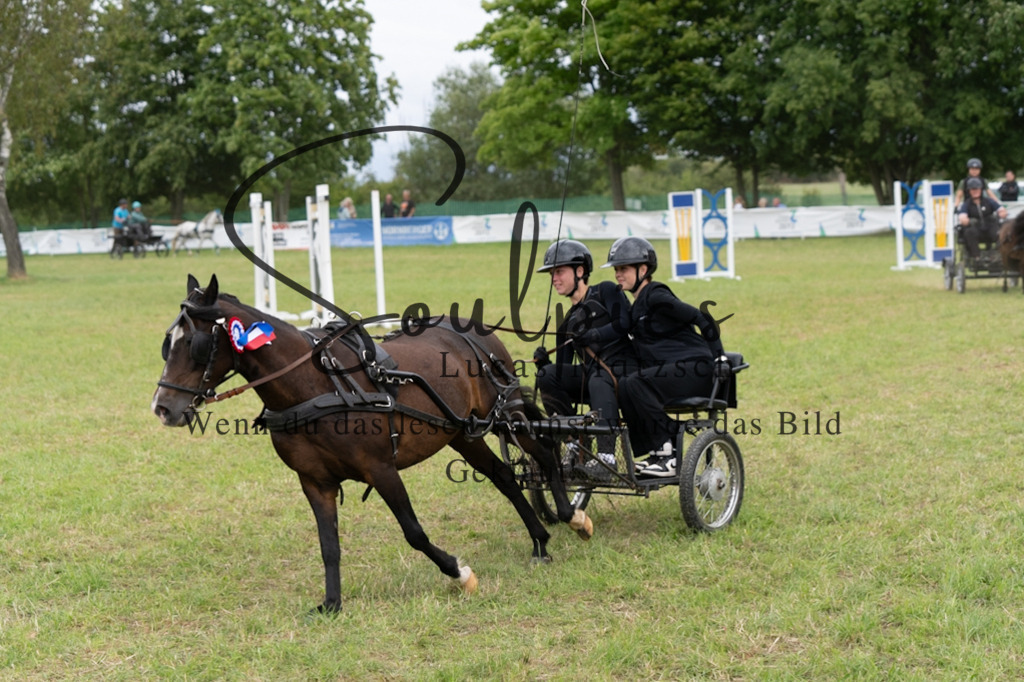 A7V06200 | Turnier/Reitfotograf