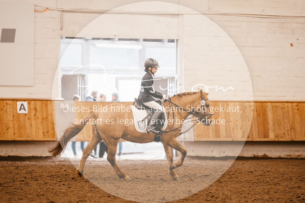 3I6A6364 | Stimmungsvolle Portraits und Reitsportfotografie im Ruhrgebiet und im Münsterland.

Pferdefotografie, Hundefotografie, Tierfotografie, Reportagen, Portraits von Tier und Mensch, Turnierfotografie in Bochum, Recklinghausen, Marl, Haltern am See, Dülmen.. - Realisiert mit Pictrs.com