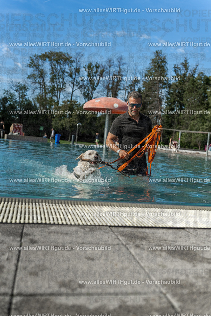 Hundeschwimmen_Volksbad_2026-allesWIRTHgut_Tierfotografie-2609061544-7R501749 | Professionelle Tierfotografie in Mönchengladbach von Daniel Wirth (allesWIRTHgut). Liebevolle & natürliche Bilder von Hunden & Katzen für unvergessliche Erinnerungen.