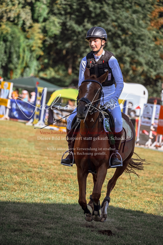 DSC_1192 | Pferde- und Turnierfotografie in Westsachsen. Pferdeportraits, Auftragszeichnungen und intuitive Kunst.