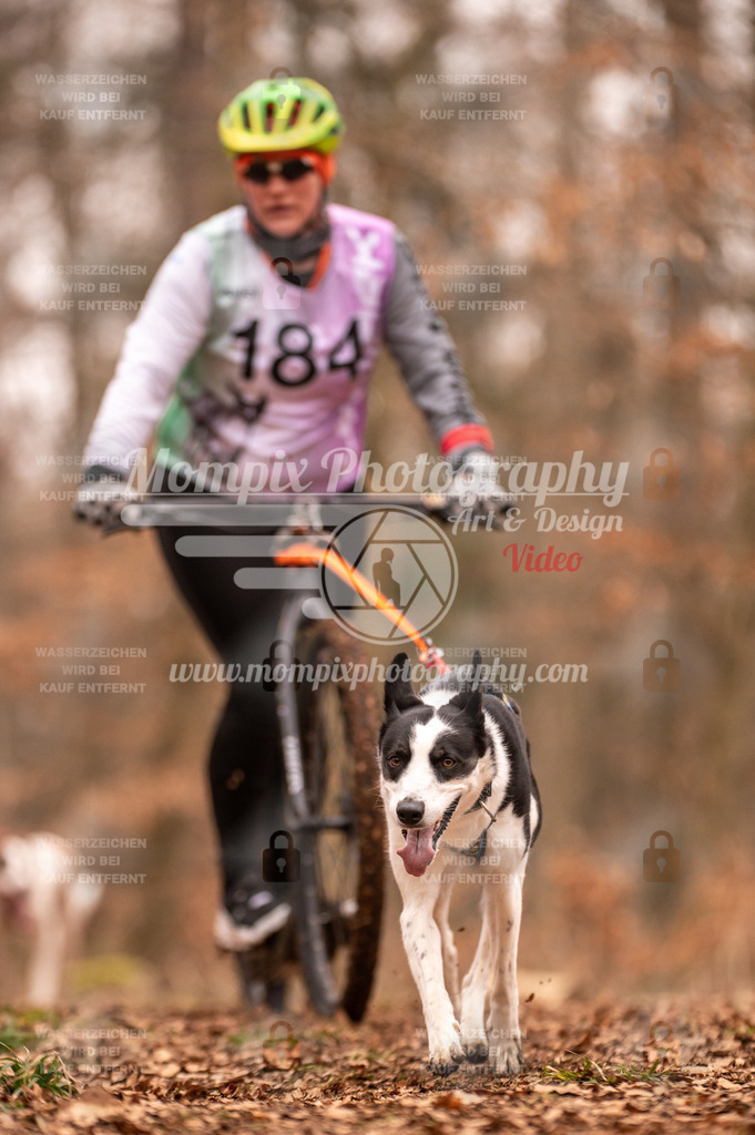 AKM_ST_2023_SAM_Scooter-72 | PayLife