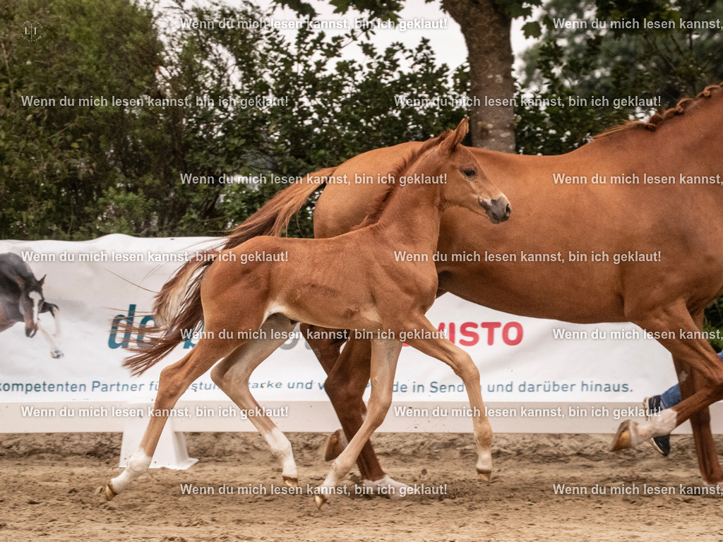 A10I4876 | photographylinaismer - Realisiert mit Pictrs.com