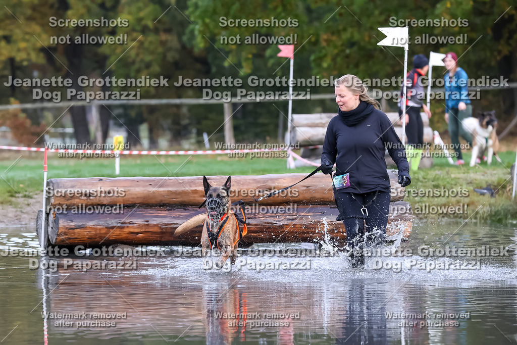 Dog Paparazzi - Strongdog 10-25-6499 | Dog Paparazzi Jeanette Grottendiek Fotografie & Videografie - Realisiert mit Pictrs.com