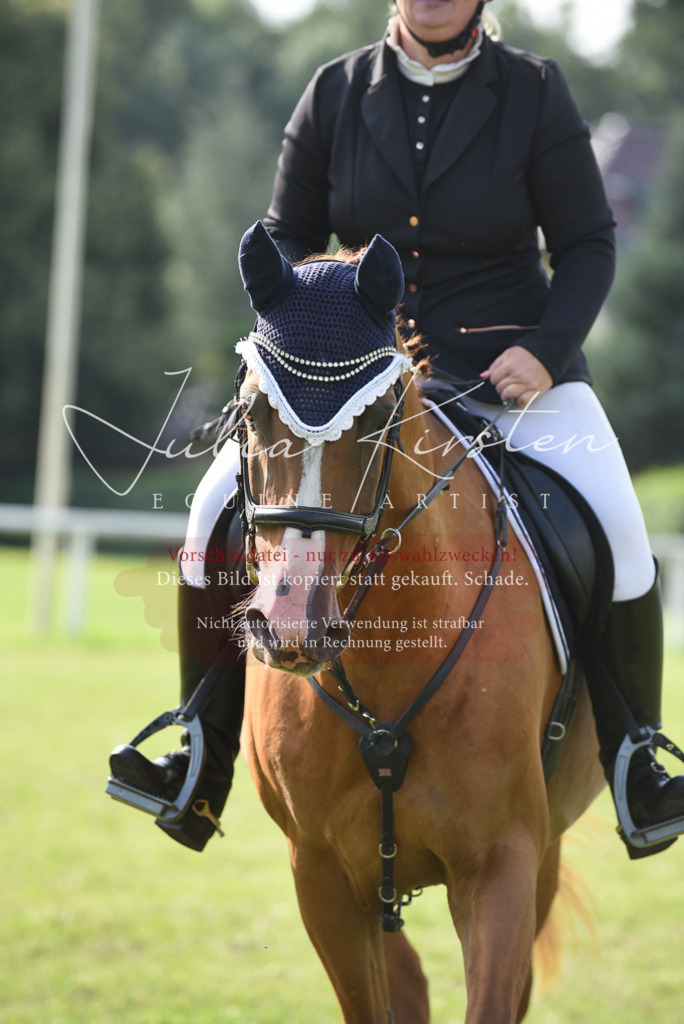 DSC_8712 | Pferde- und Turnierfotografie in Westsachsen. Pferdeportraits, Auftragszeichnungen und intuitive Kunst.