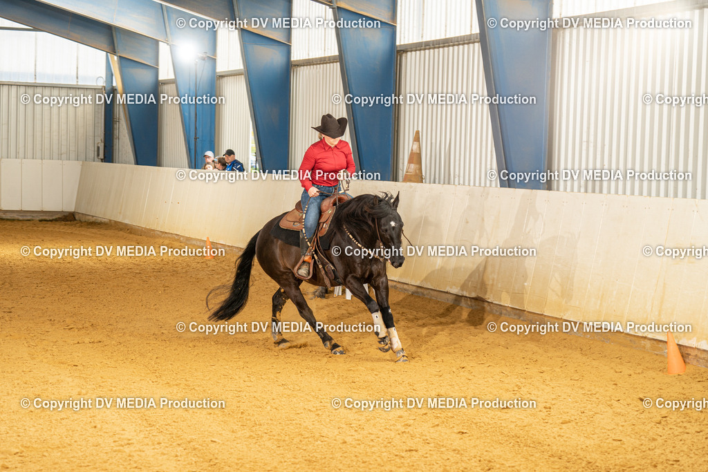 MIT01119 | dv-media-shop - Realisiert mit Pictrs.com