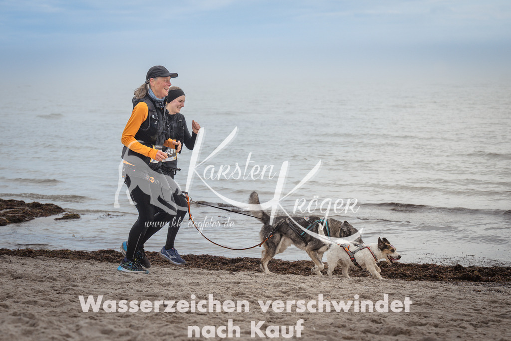 1148_ZZ91393 | kk-dogfotos