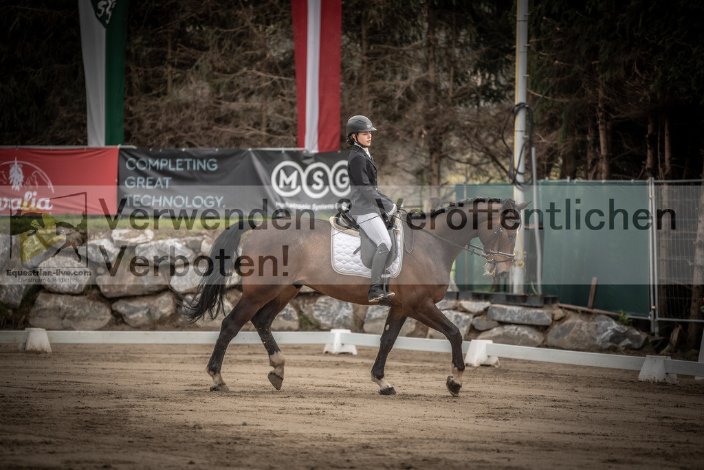 DSC_8310 | equestrian-live-com