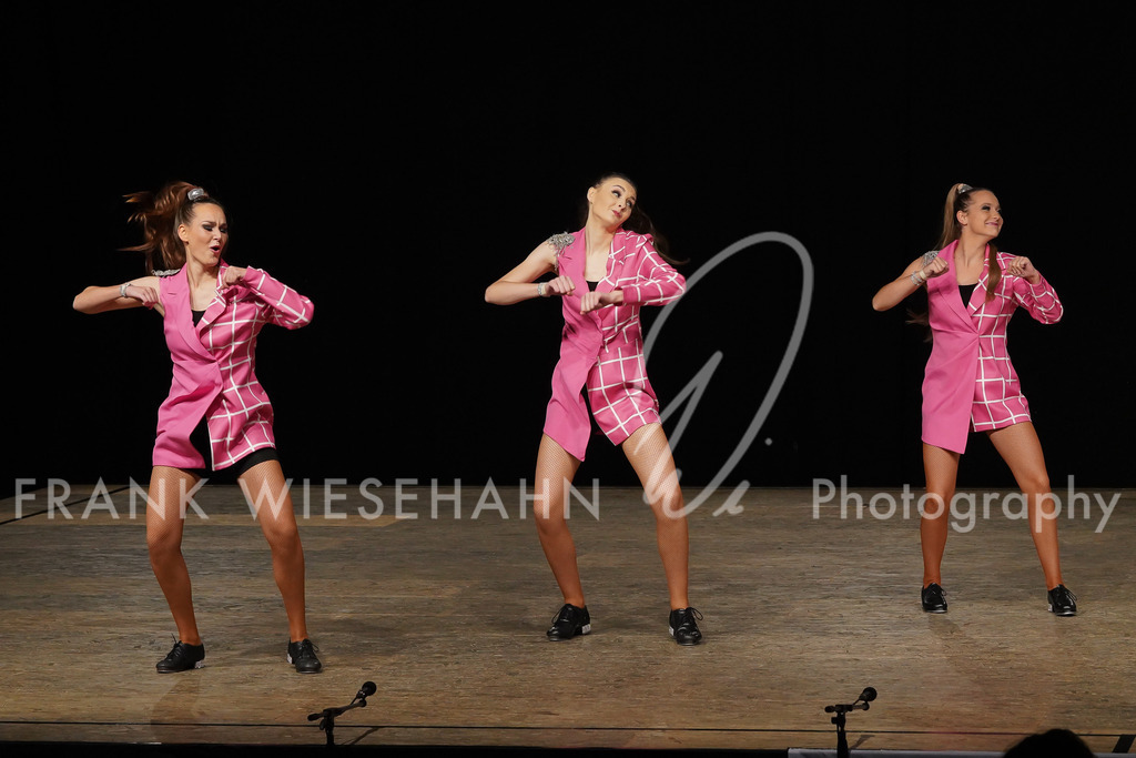 steppdm22_1920 | FRANK WIESEHAHN MEDIA - Realisiert mit Pictrs.com