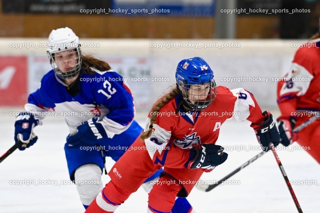 BST_6096 | hockey sports photos, Pressefotos, Sportfotos, hockey247, win 2day icehockeyleague, Handball Austria, Floorball Austria, ÖVV, Kärntner Eishockeyverband, KEHV, KFV, Kärntner Fussballverband, Österreichischer Volleyballverband, Alps Hockey League, ÖFB, 