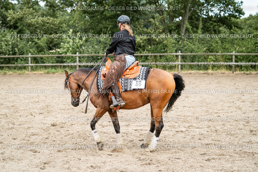 DSC02049 | Pferdegrafie