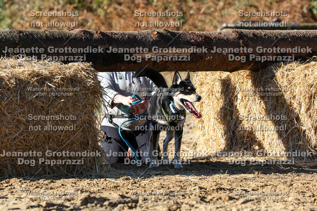 Dog Paparazzi - Strongdog 10-25-2005 | Dog Paparazzi Jeanette Grottendiek Fotografie & Videografie - Realisiert mit Pictrs.com