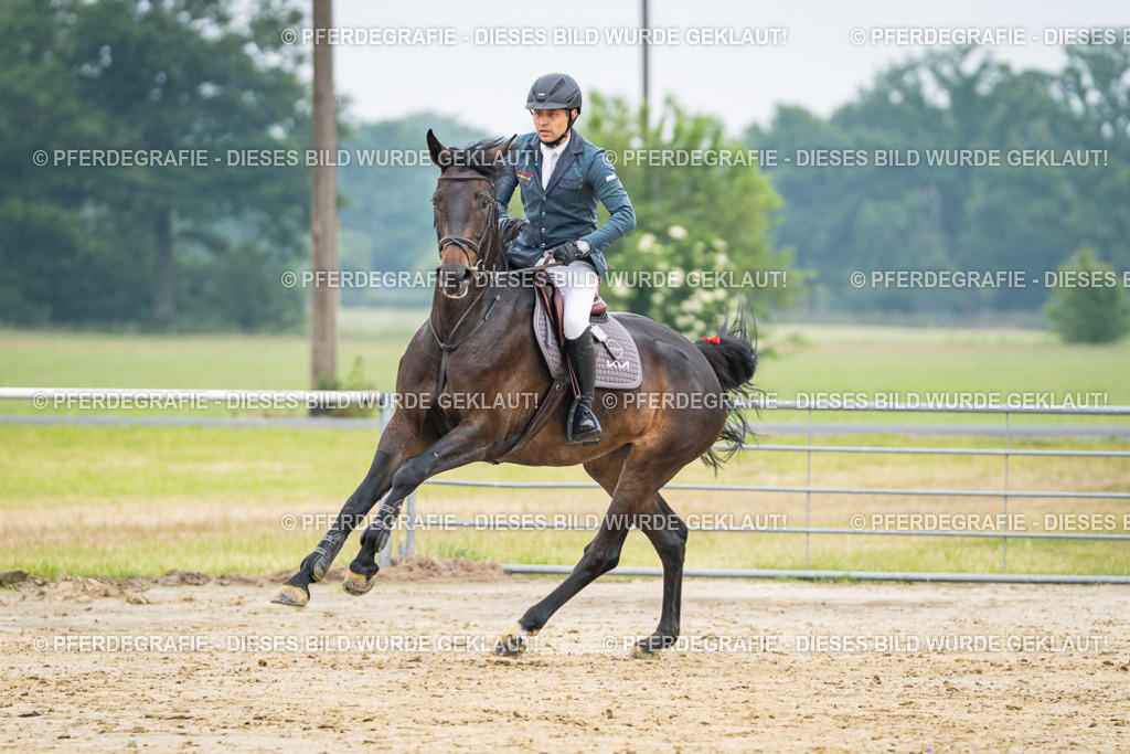 DSC00266 | Pferdegrafie