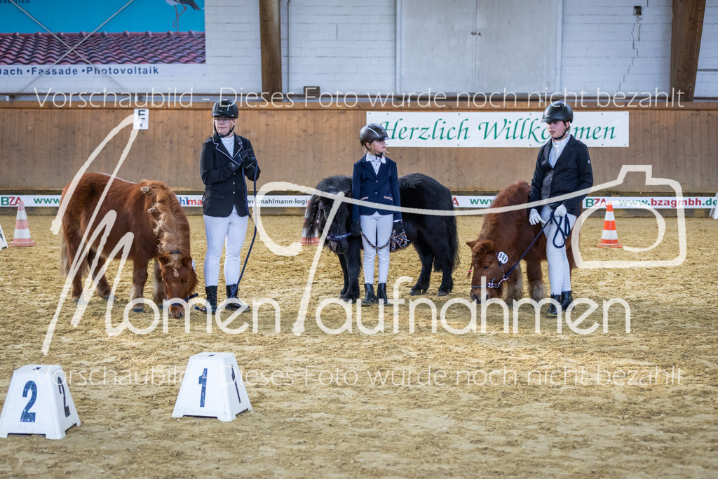 Sth-WBO25-Führ-WB-084 | MomenTaufnahmen Pferdesportfotos