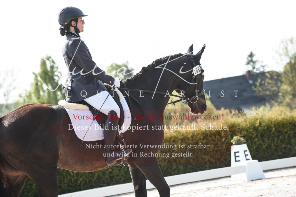 20230518_JK-Röhrsdorf-09-1004 | Pferde- und Turnierfotografie in Westsachsen. Pferdeportraits, Auftragszeichnungen und intuitive Kunst.