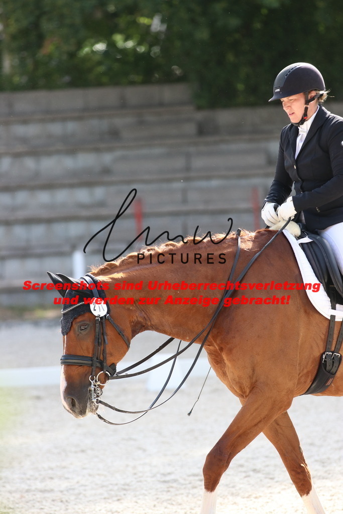 IMG_5661 | lmwpictures - Realisiert mit Pictrs.com