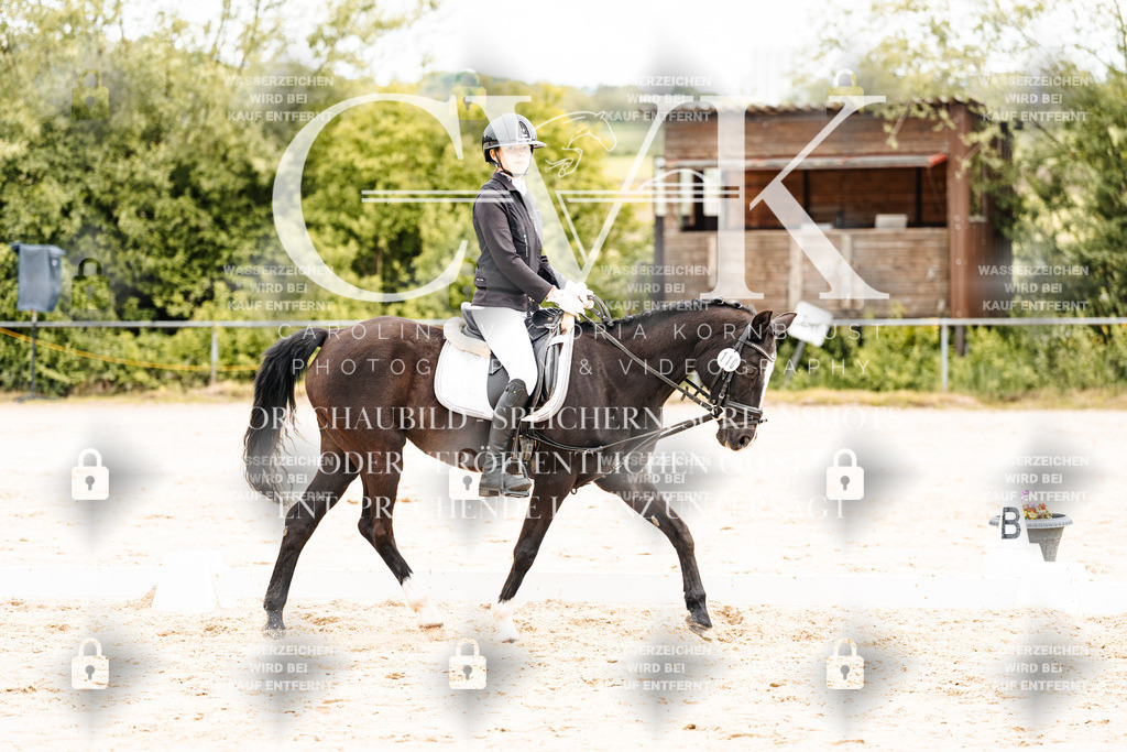 CK904252 | Turnierfotografie Pferdefotografie Trier Rheinland-Pfalz Pferdesport Reitsport Tierfotografie Sportfotografie Pferdevideo Pferdevideografie Equestrianvideography equestrianphotography  - Realisiert mit Pictrs.com