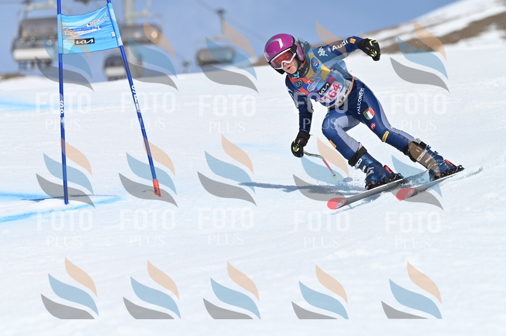 BGV_0339 | holidayphoto