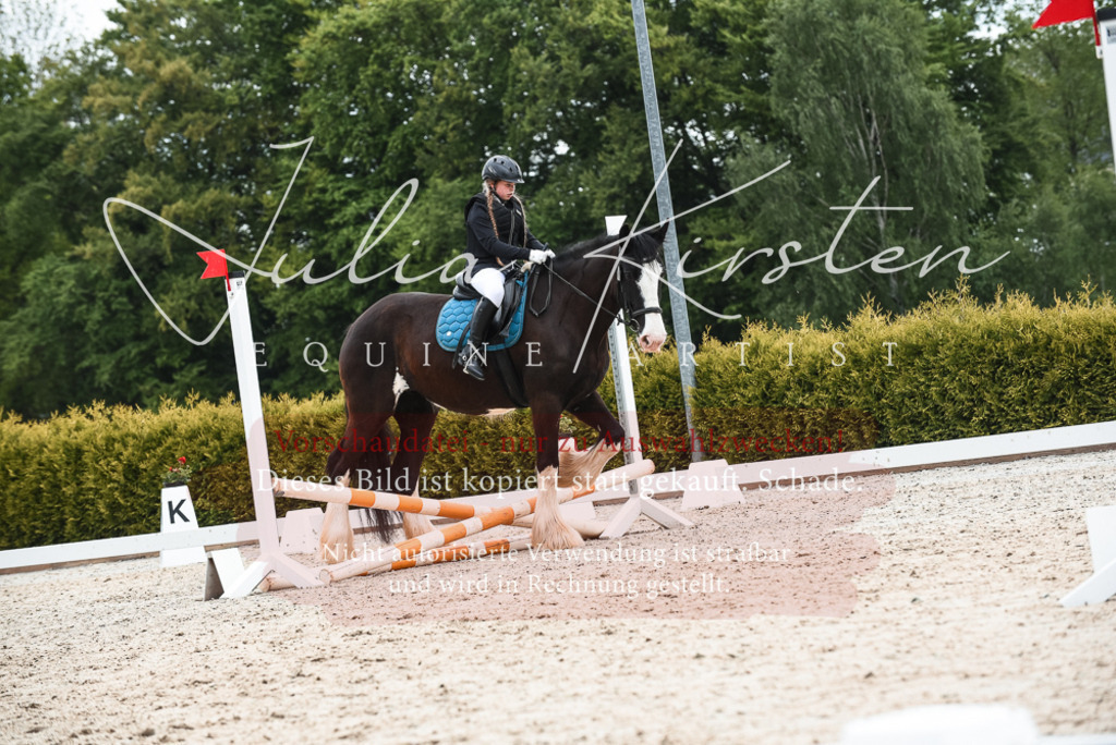 20230518_JK-Röhrsdorf-10-387 | Pferde- und Turnierfotografie in Westsachsen. Pferdeportraits, Auftragszeichnungen und intuitive Kunst.