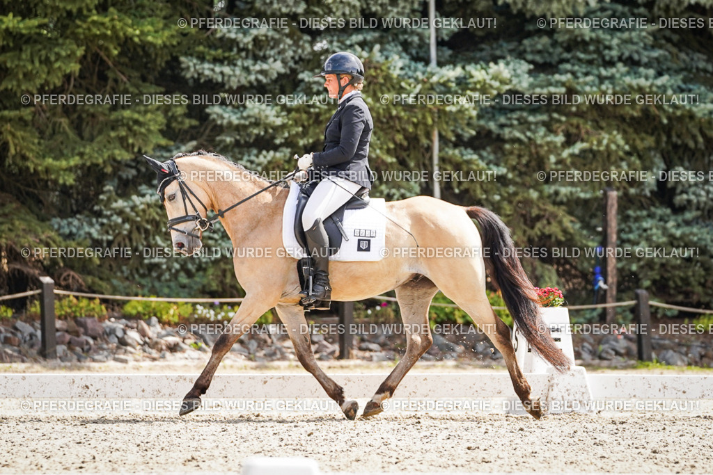 DSC09445 | Pferdegrafie