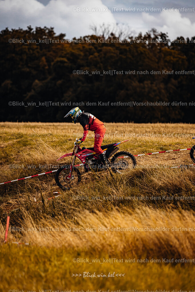 E68A3113 | blick_win_kel