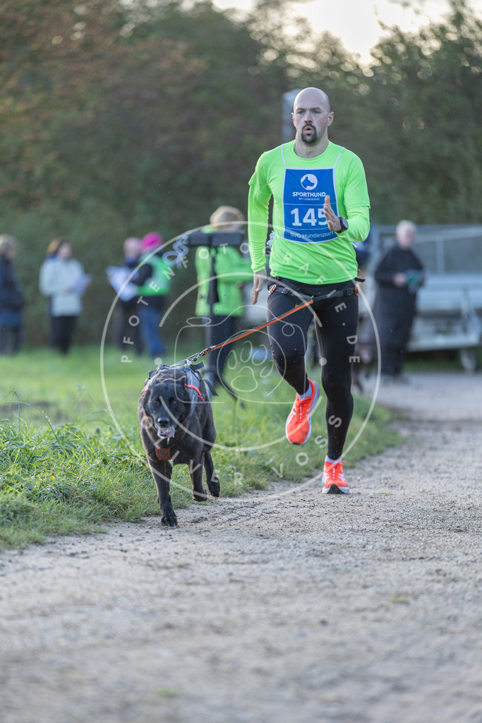 Pfotenfotografie.de_DV3A2780 | Hundefotografie, Tierfotograf, Pfotenfotografie, Fotoshooting Hund, Hunde Portrait, Hundesport, Hundeportraits, Heideshooting, Hunde, Sportfotograf, Hundefotograf, Turnierhundsport, THS, canicross - Realisiert mit Pictrs.com