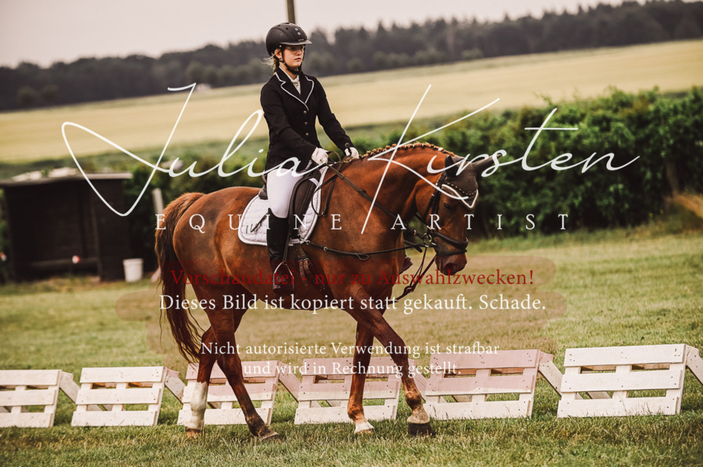 DSC_4790 | Pferde- und Turnierfotografie in Westsachsen. Pferdeportraits, Auftragszeichnungen und intuitive Kunst.