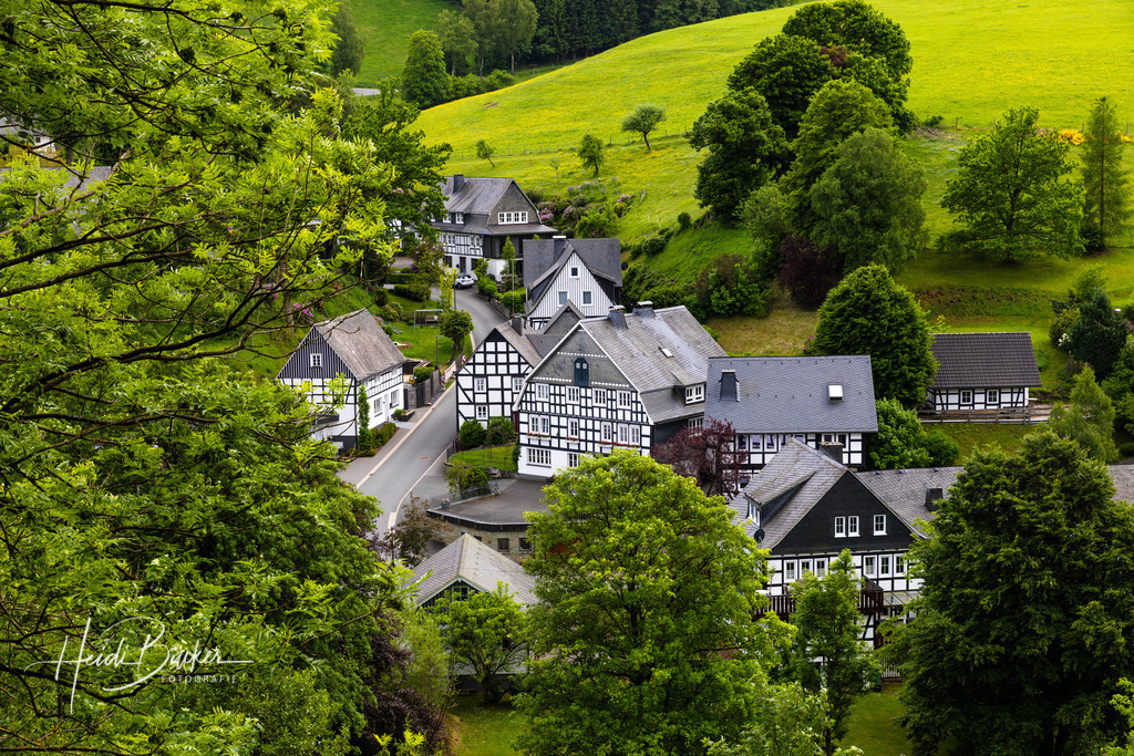 Juni | Bilder und Impressionen zu jeder Jahreszeit aus dem Sauerland im Naturpark Sauerland-Rothaargebirge - Realisiert mit Pictrs.com