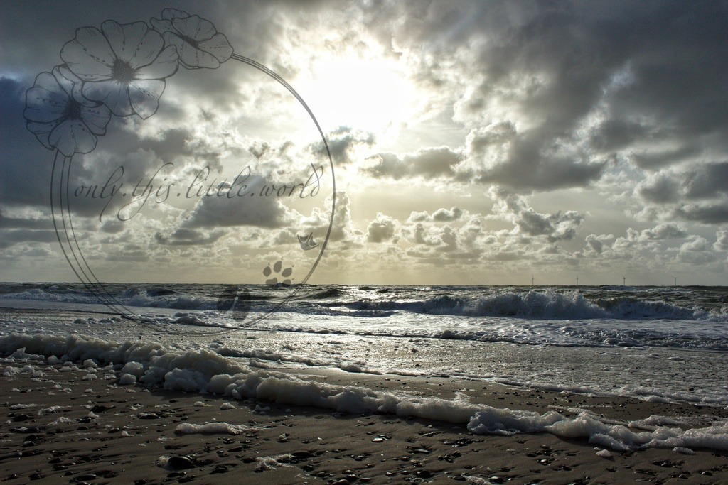 IMG_9857-01 | only.this.little.world - Realisiert mit Pictrs.com