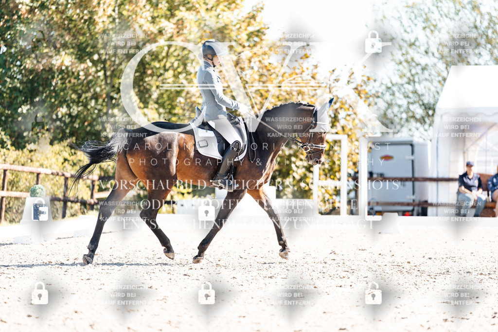 CK908776 | Turnierfotografie Pferdefotografie Trier Rheinland-Pfalz Pferdesport Reitsport Tierfotografie Sportfotografie Pferdevideo Pferdevideografie Equestrianvideography equestrianphotography  - Realisiert mit Pictrs.com