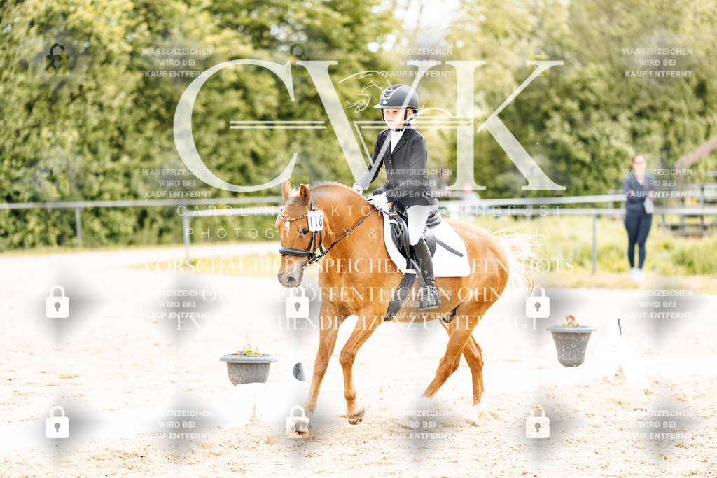 CK904648 | Turnierfotografie Pferdefotografie Trier Rheinland-Pfalz Pferdesport Reitsport Tierfotografie Sportfotografie Pferdevideo Pferdevideografie Equestrianvideography equestrianphotography  - Realisiert mit Pictrs.com