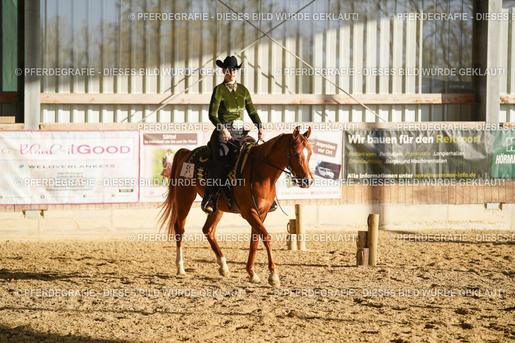 DSC08520 | Pferdegrafie