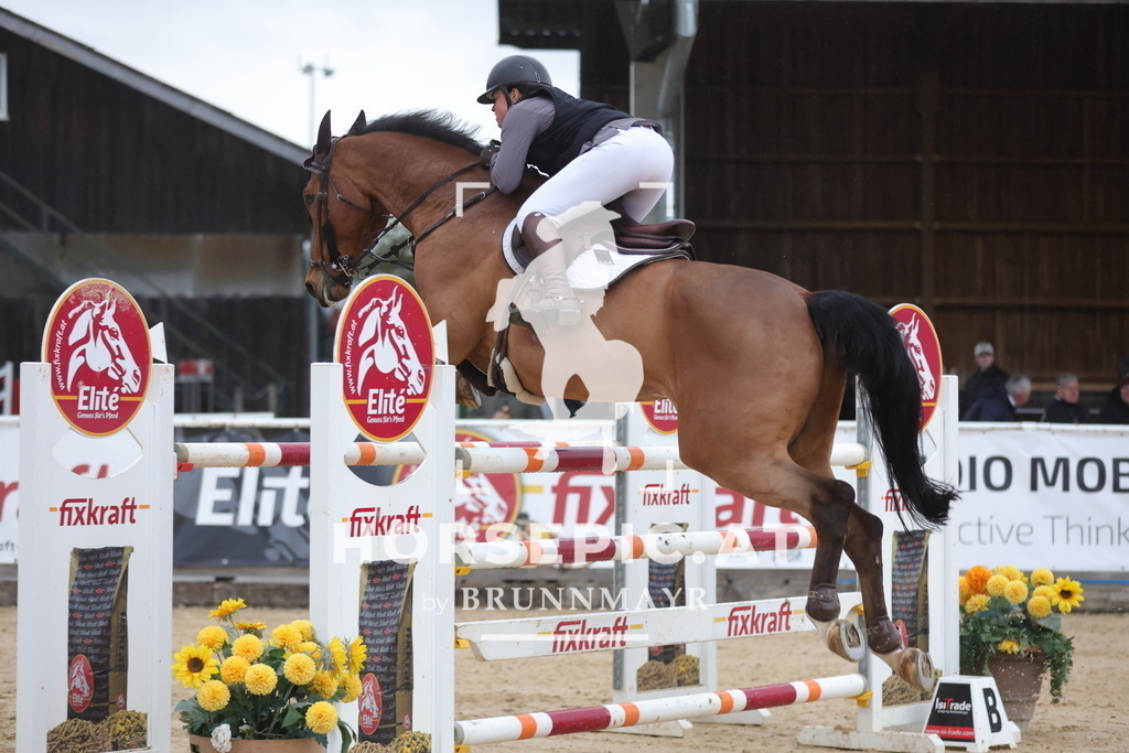 0P6A5740 | Willkommen bei Brunnmayr - Design & Fotografie – Ihrem Spezialisten für Reitturniere und Pferdeveranstaltungen in Oberösterreich, Salzburg und Bayern! Seit über 17 Jahren sind wir leidenschaftlich dabei.