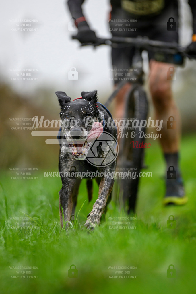 MompixPhotography_20TSB_E8_DS1-14 | PayLife