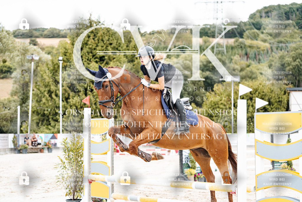 CK908352 | Turnierfotografie Pferdefotografie Trier Rheinland-Pfalz Pferdesport Reitsport Tierfotografie Sportfotografie Pferdevideo Pferdevideografie Equestrianvideography equestrianphotography  - Realisiert mit Pictrs.com