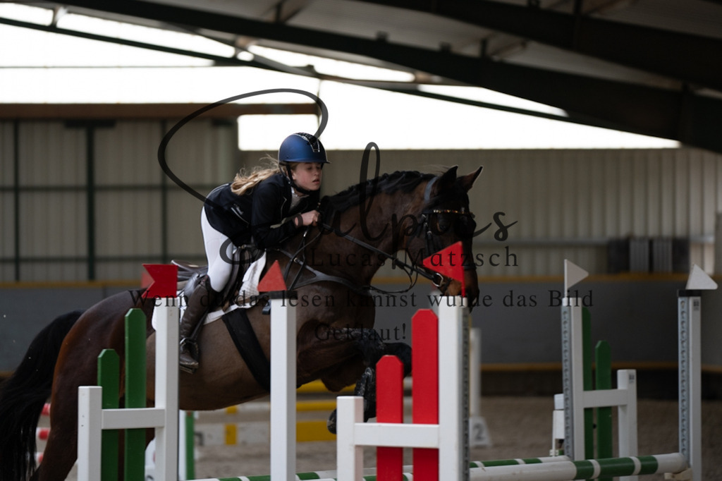 A7V03888 | Pferdefotograf