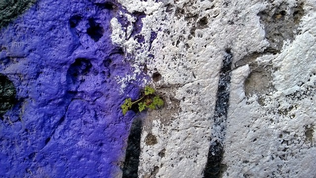 Stadt Natur 24 | ARDT Foto Kunst