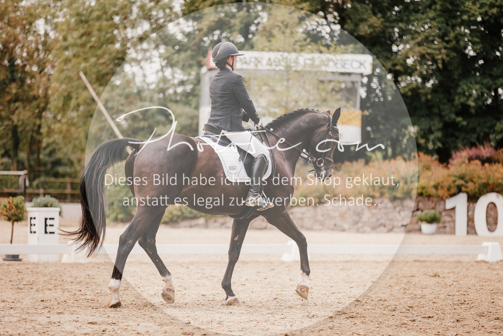 3I6A6000 | Stimmungsvolle Portraits und Reitsportfotografie im Ruhrgebiet und im Münsterland.

Pferdefotografie, Hundefotografie, Tierfotografie, Reportagen, Portraits von Tier und Mensch, Turnierfotografie in Bochum, Recklinghausen, Marl, Haltern am See, Dülmen.. - Realisiert mit Pictrs.com