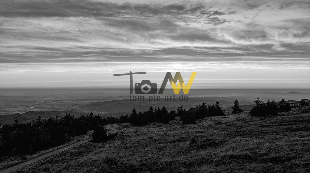 0Y9A6120-Verbessert-RR-Bearbeitet-Bearbeitet_swx | Hochauflösende und hochwertige Bilder und Fotos.Kommerzielle oder private Nutzung ✔ Bilder downloaden✔ Acryl ✔ Leinwand ✔ Poster ✔
 - Realisiert mit Pictrs.com