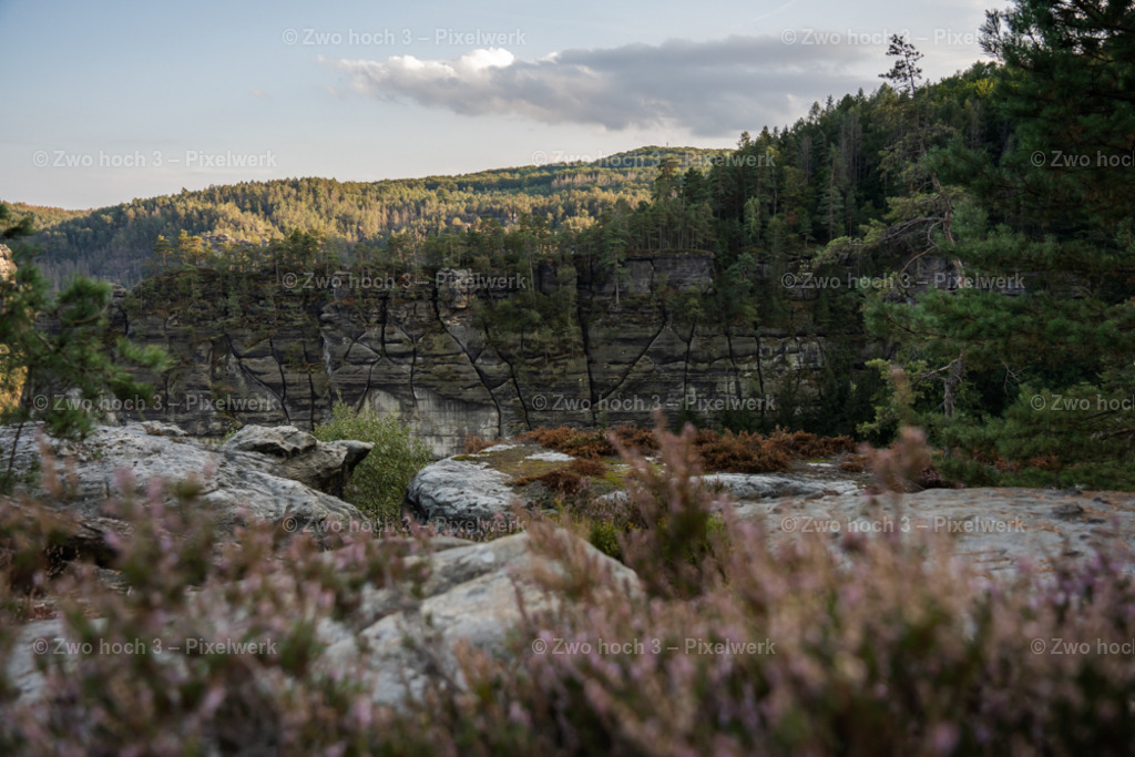 Unterer_Fremdenweg_Nahe_Suedlicher_Gleitmannsturm_Felsplateau | 2022-08-30_Waldbrandgebiete_1 - Realisiert mit Pictrs.com