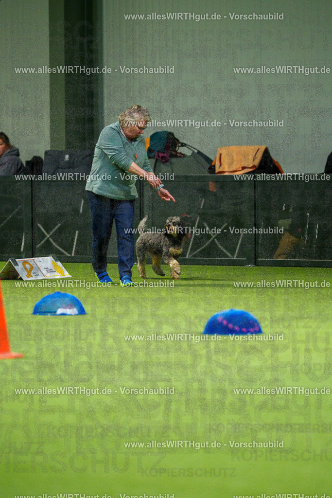 7R504035 | Professionelle Tierfotografie in Mönchengladbach von Daniel Wirth (allesWIRTHgut). Liebevolle & natürliche Bilder von Hunden & Katzen für unvergessliche Erinnerungen.