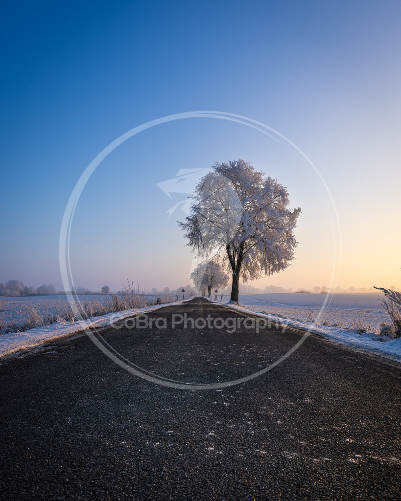 052A2824 | CoBra Photography - Realisiert mit Pictrs.com