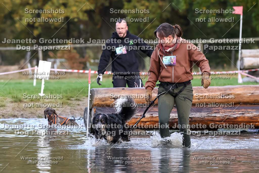 Dog Paparazzi - Strongdog 10-25-6938 | Dog Paparazzi Jeanette Grottendiek Fotografie & Videografie - Realisiert mit Pictrs.com