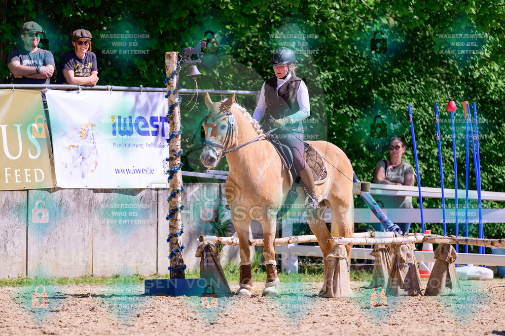 01052026-Giesenbach-02-Stiltrail-0510 | Fokus Hufschlag Fotografie - Realisiert mit Pictrs.com
