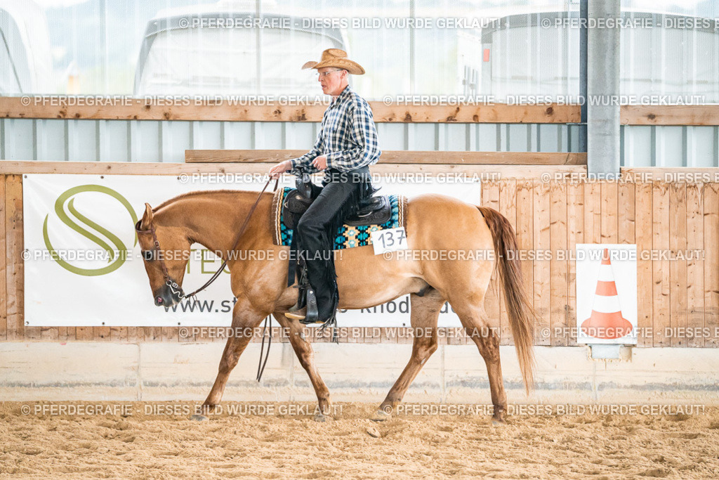 DSC00975 | Pferdegrafie