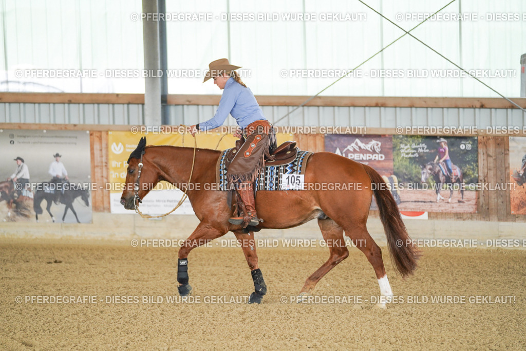 DSC02593 | Pferdegrafie