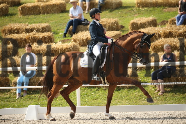 Birkhof_2022_GrandPrixSpecial_Nicole Casper_Birkhof_s Don Röschen FBW(4) | Alle Fotos der Reiterjournal Fotografin Doris Matthaes im Reiterjournal Online-Fotoshop. - Realisiert mit Pictrs.com