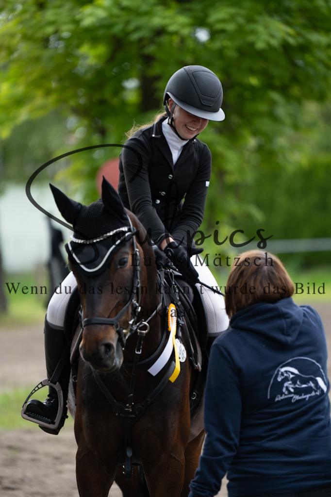 A7V03969 | Pferdefotograf