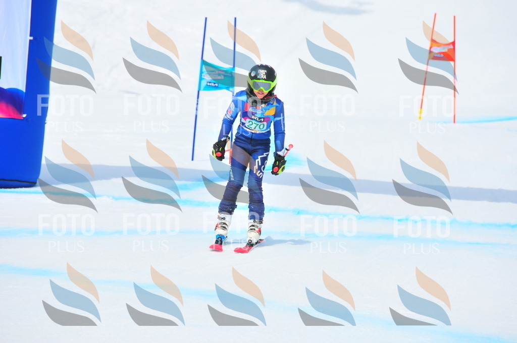 DSC_2510 | holidayphoto