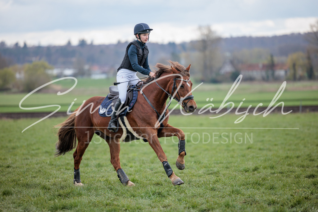 20260329-_3LI5415 | Tierfotografie Pferde, Hunde, Katzen, Haustiere.
Turnierfotografie Reitturniere, Reiten, Springreiten, Dressur in Hanau, dem Main-Kinzig-Kreis und dem Rhein-Main- Gebiet um Frankfurt
